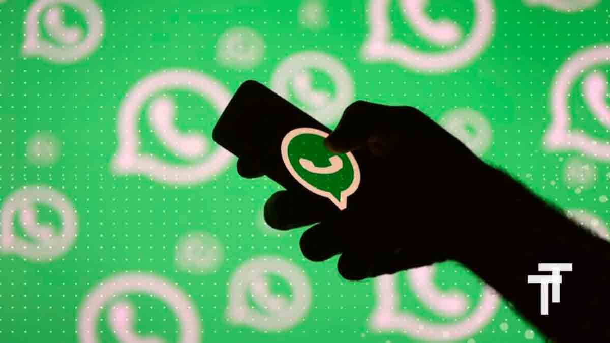 Backup de Conversas do Whatsapp